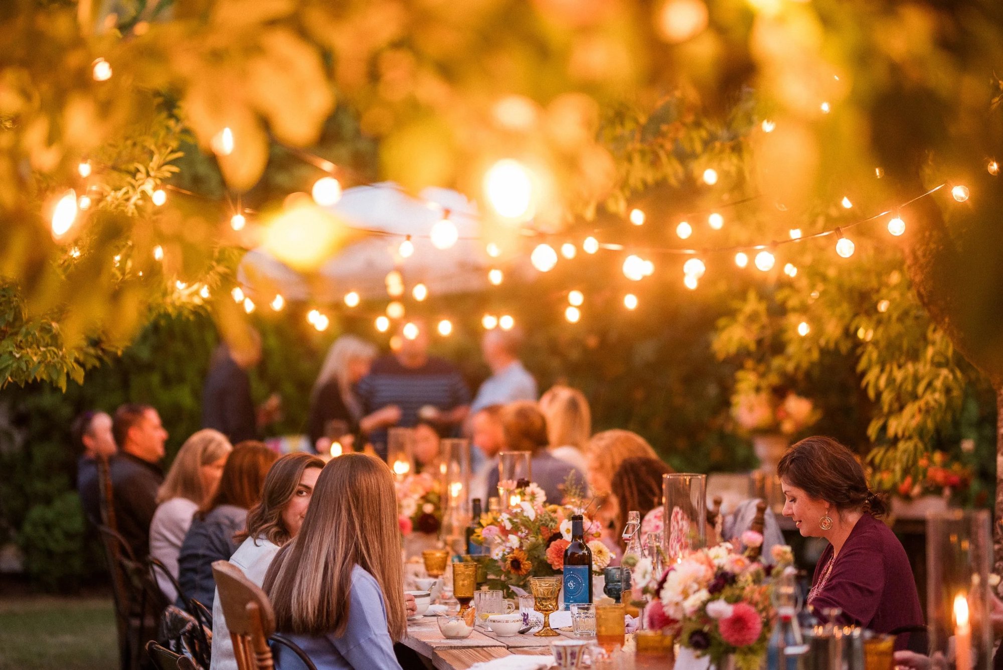 Golden outdoor dinner beneath string lights among citrus trees